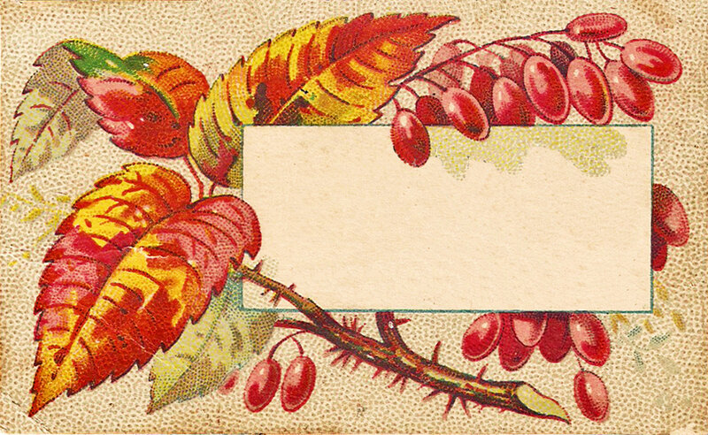 Autumn Leaves and Berries — Red
