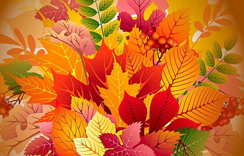 Autumn Leaves and Berries — Red, Vibrant, Illustration