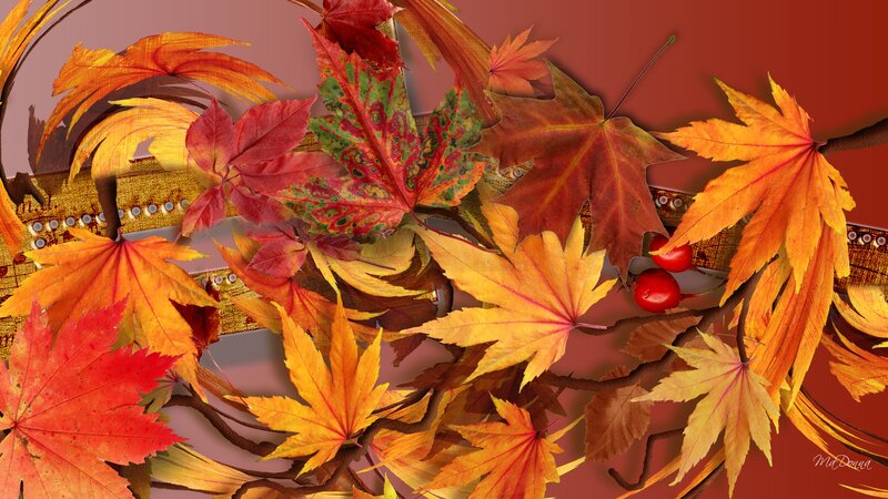 Autumn Leaves and Berries — Red, Vibrant