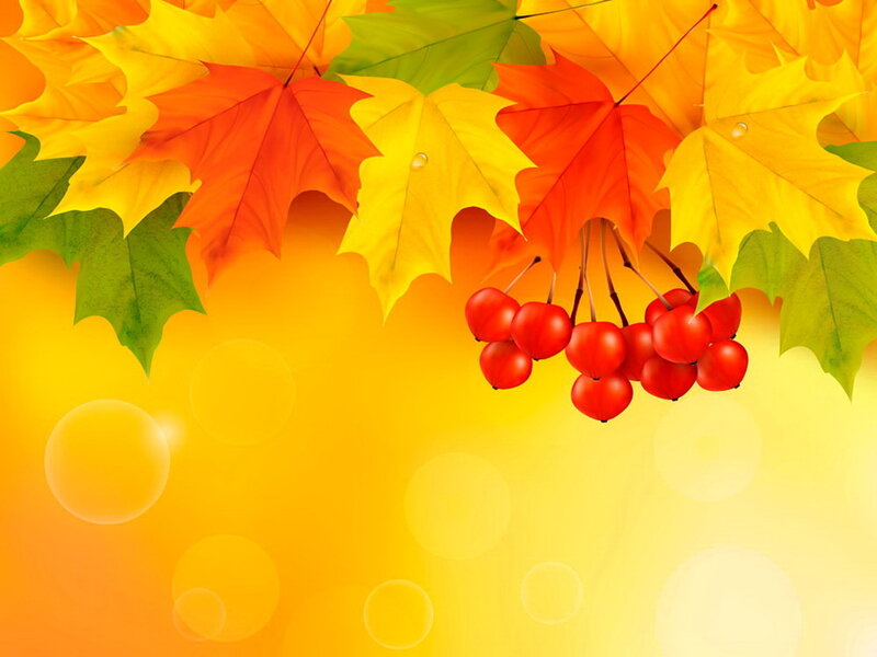 Autumn Leaves and Berries — Yellow, Warm