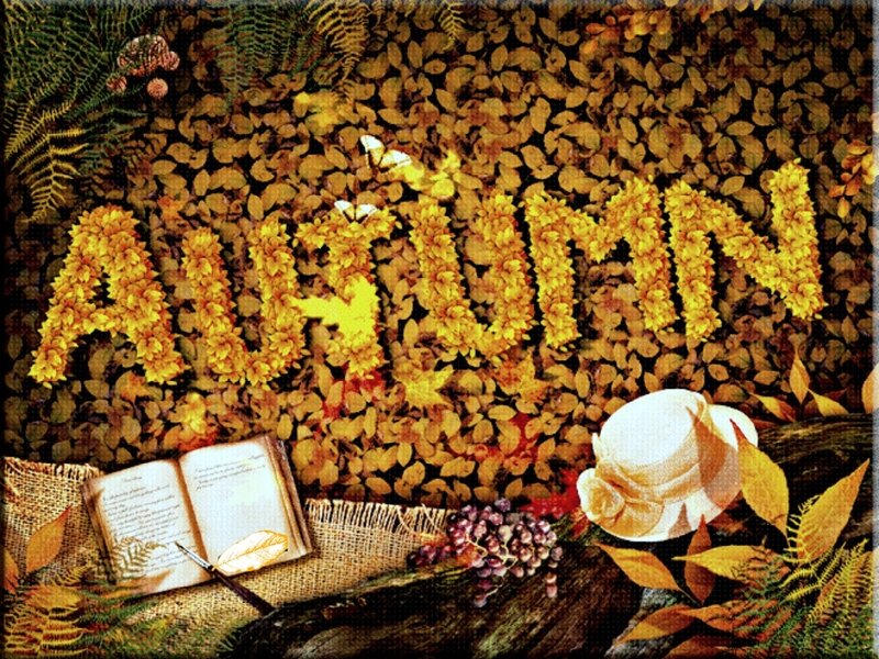 Autumn Leaves and Book