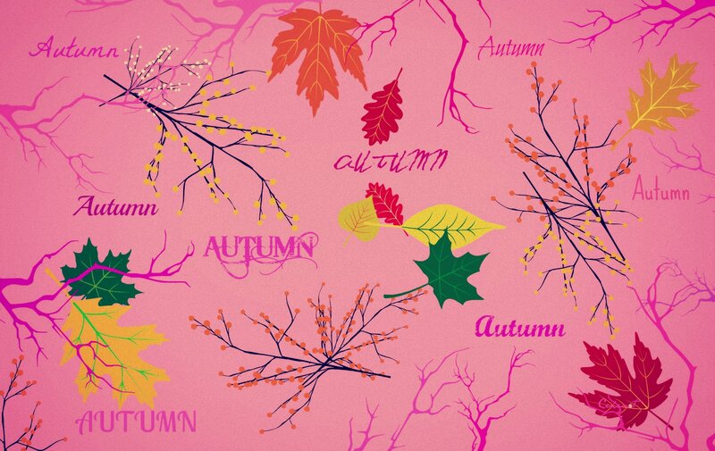 Autumn Leaves and Branches