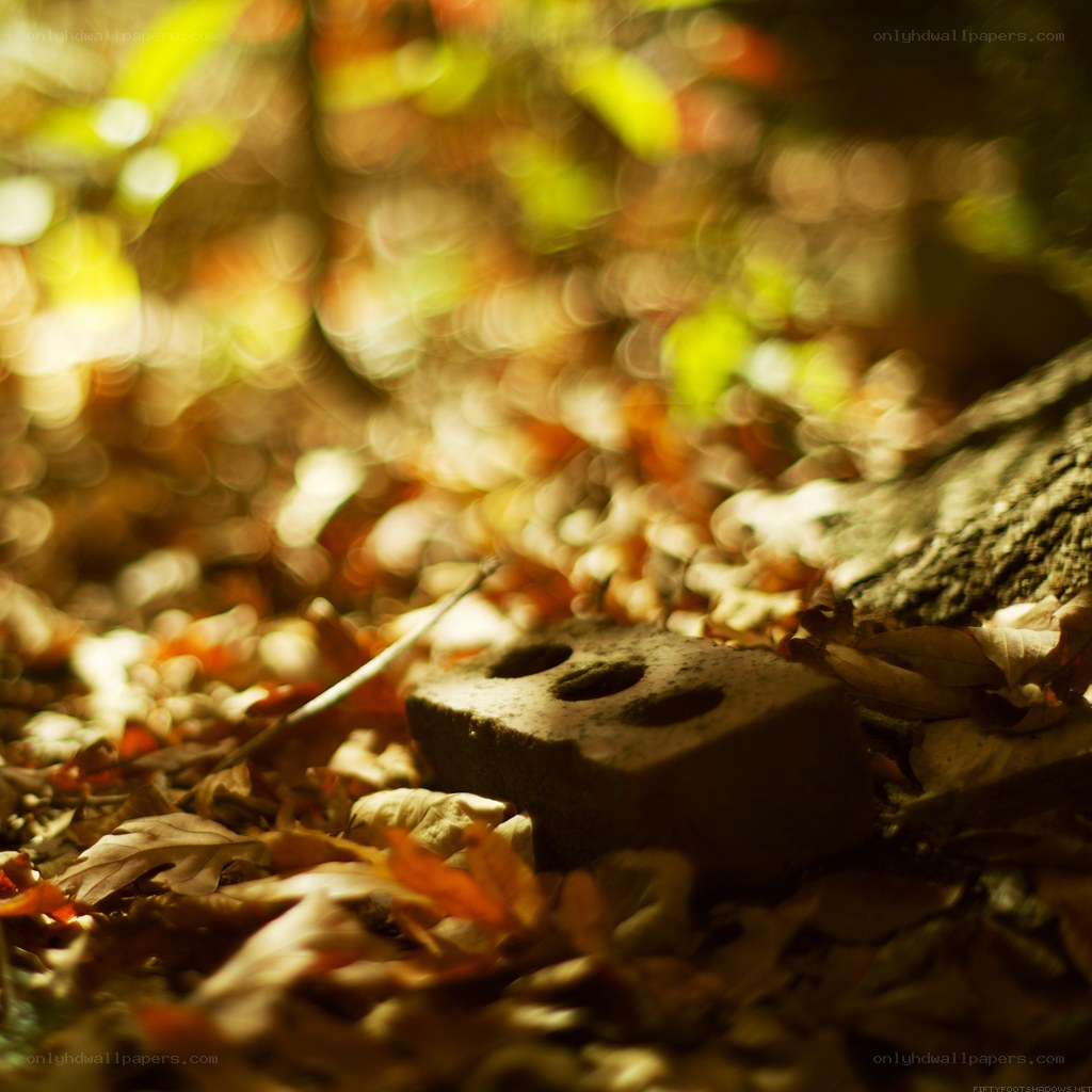 Autumn leaves and brick