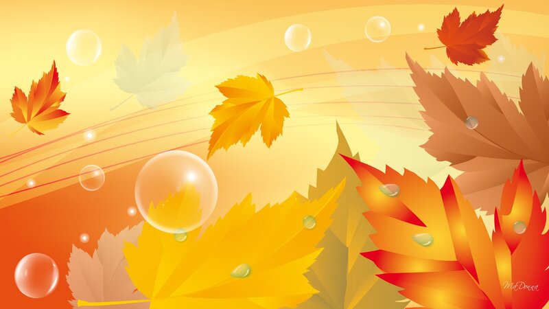 Autumn Leaves and Bubbles