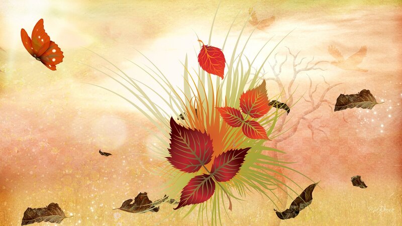 Autumn Leaves and Butterfly