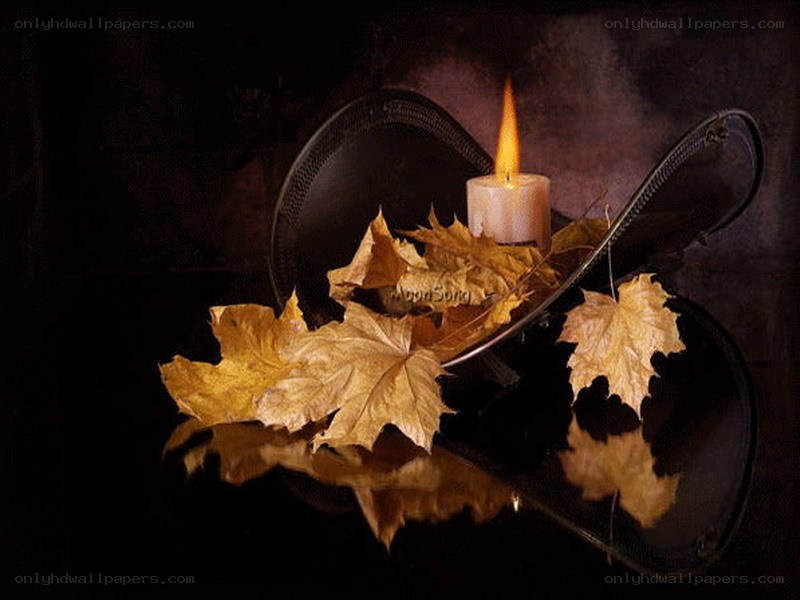 Autumn leaves and candlelight