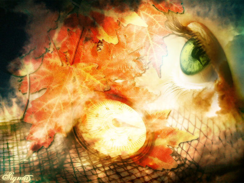 Autumn leaves and compass in eye