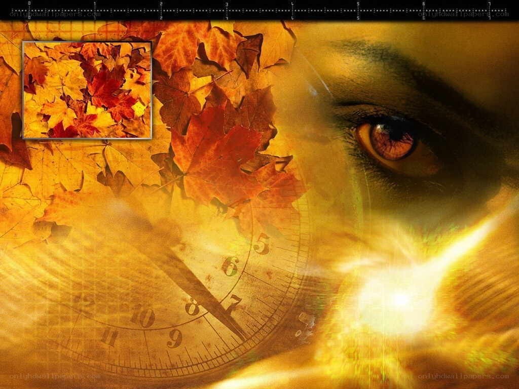 Autumn leaves and eye