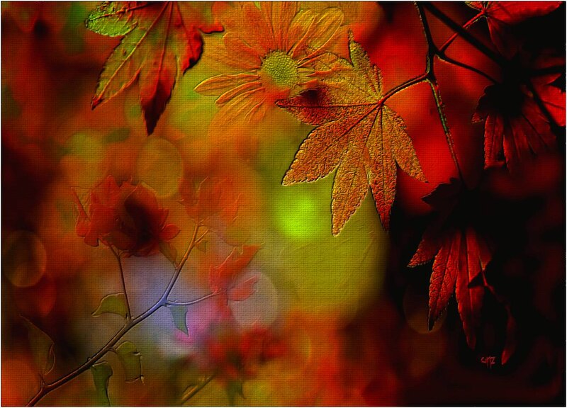 Autumn Leaves and Flower — Red