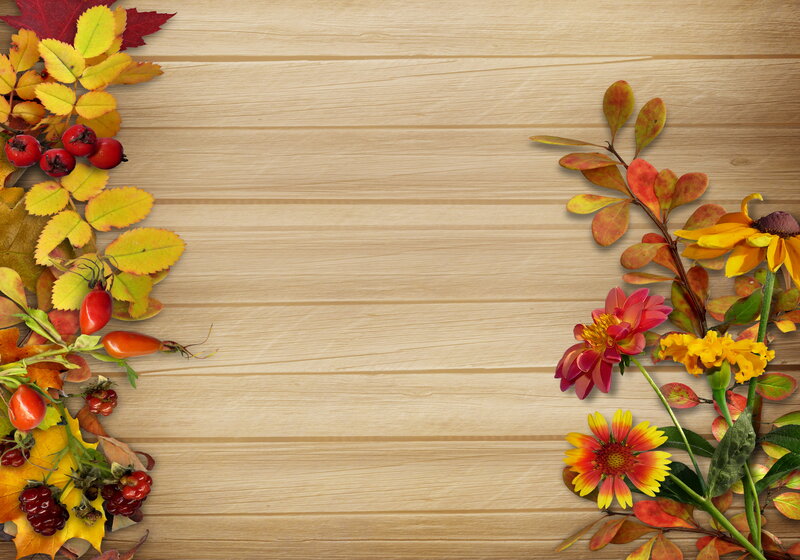 Autumn Leaves and Flowers — Yellow, Calm, Photograph