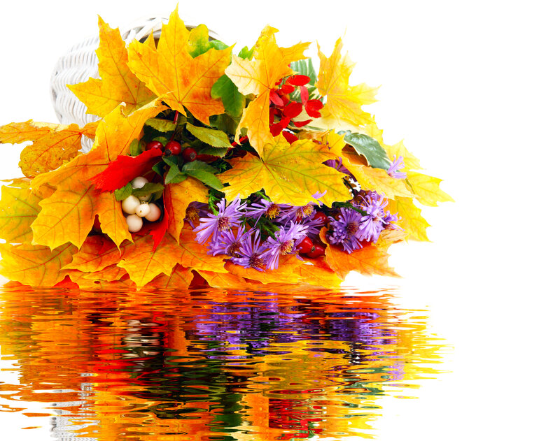 Autumn Leaves and Flowers — Yellow, Calm