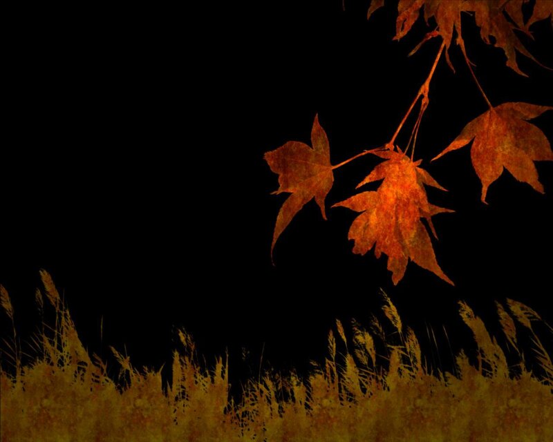 Autumn Leaves and Grass