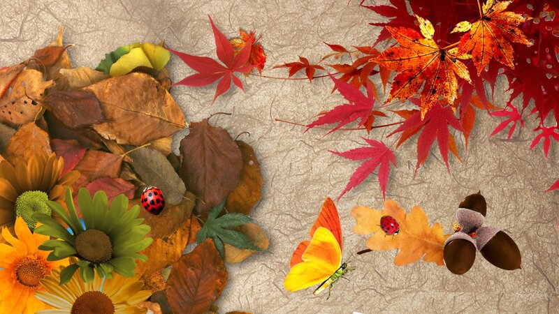 Autumn Leaves and Insects — Red