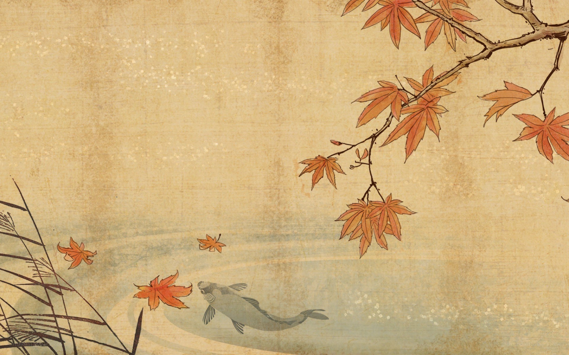 Autumn leaves and koi fish