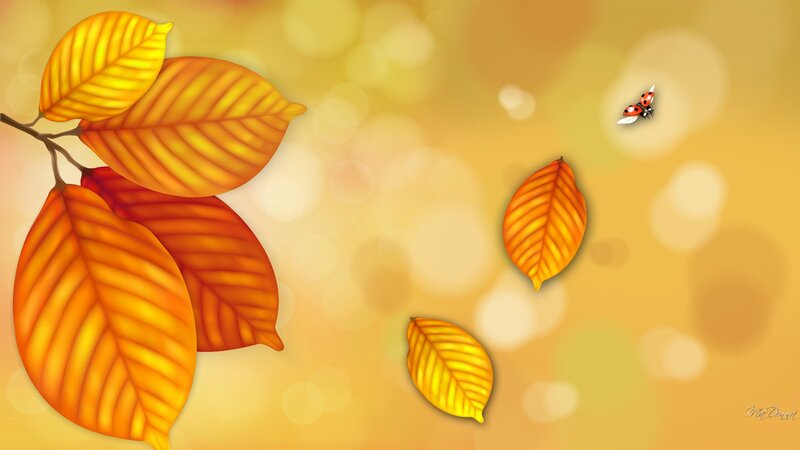 Autumn Leaves and Ladybug