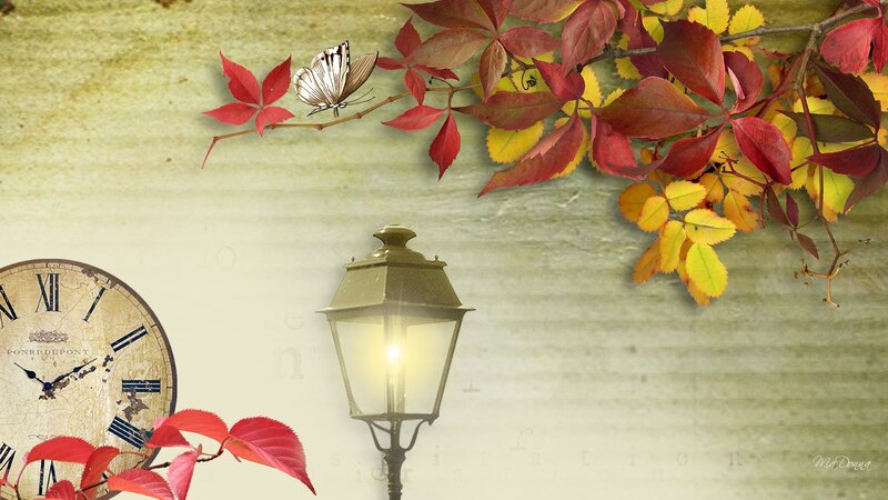 Autumn Leaves and Lantern