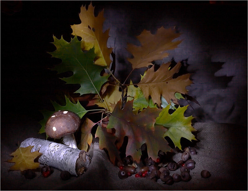Autumn leaves and mushrooms