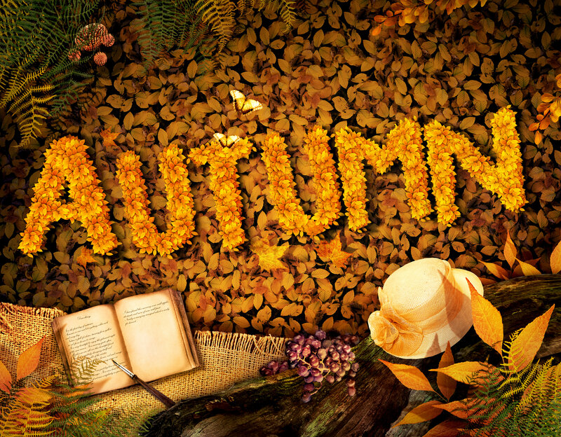 Autumn Leaves and Objects