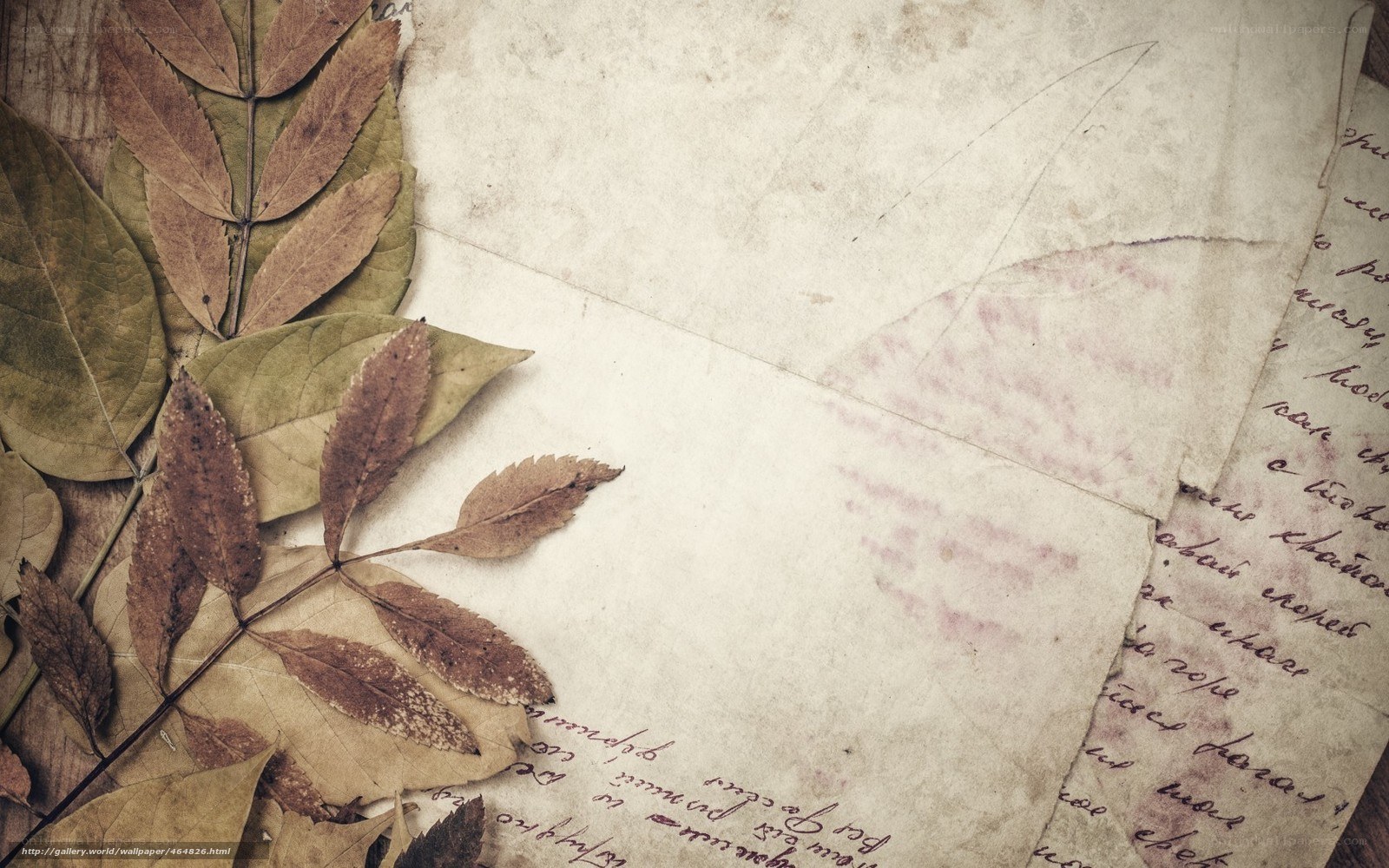 autumn leaves and old letter