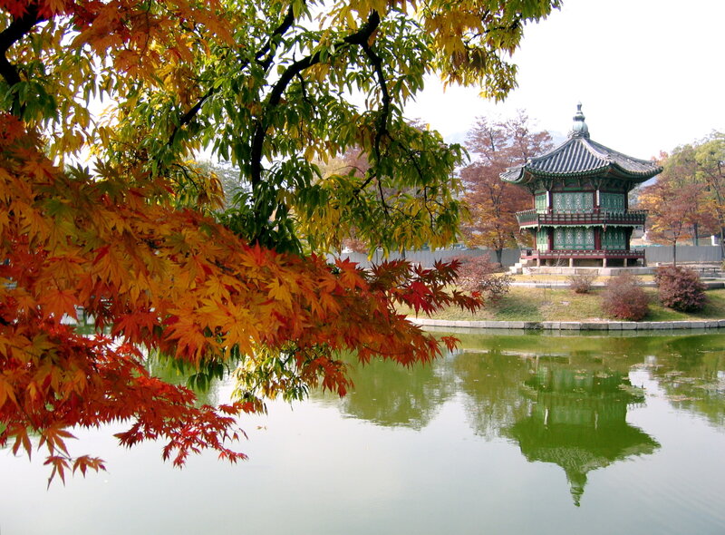 Autumn leaves and pagoda