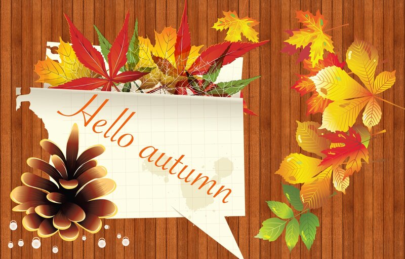 Autumn Leaves and Pinecone — Brown