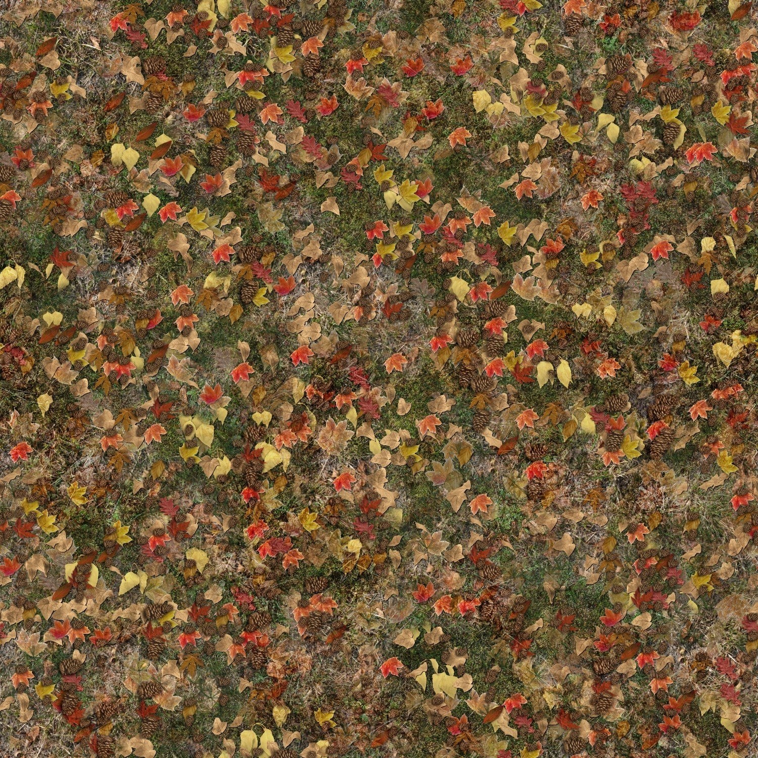 autumn leaves and pinecones