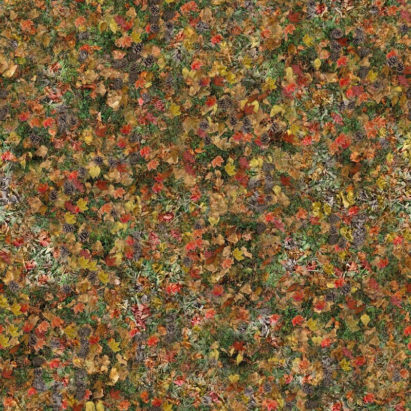 autumn leaves and pinecones