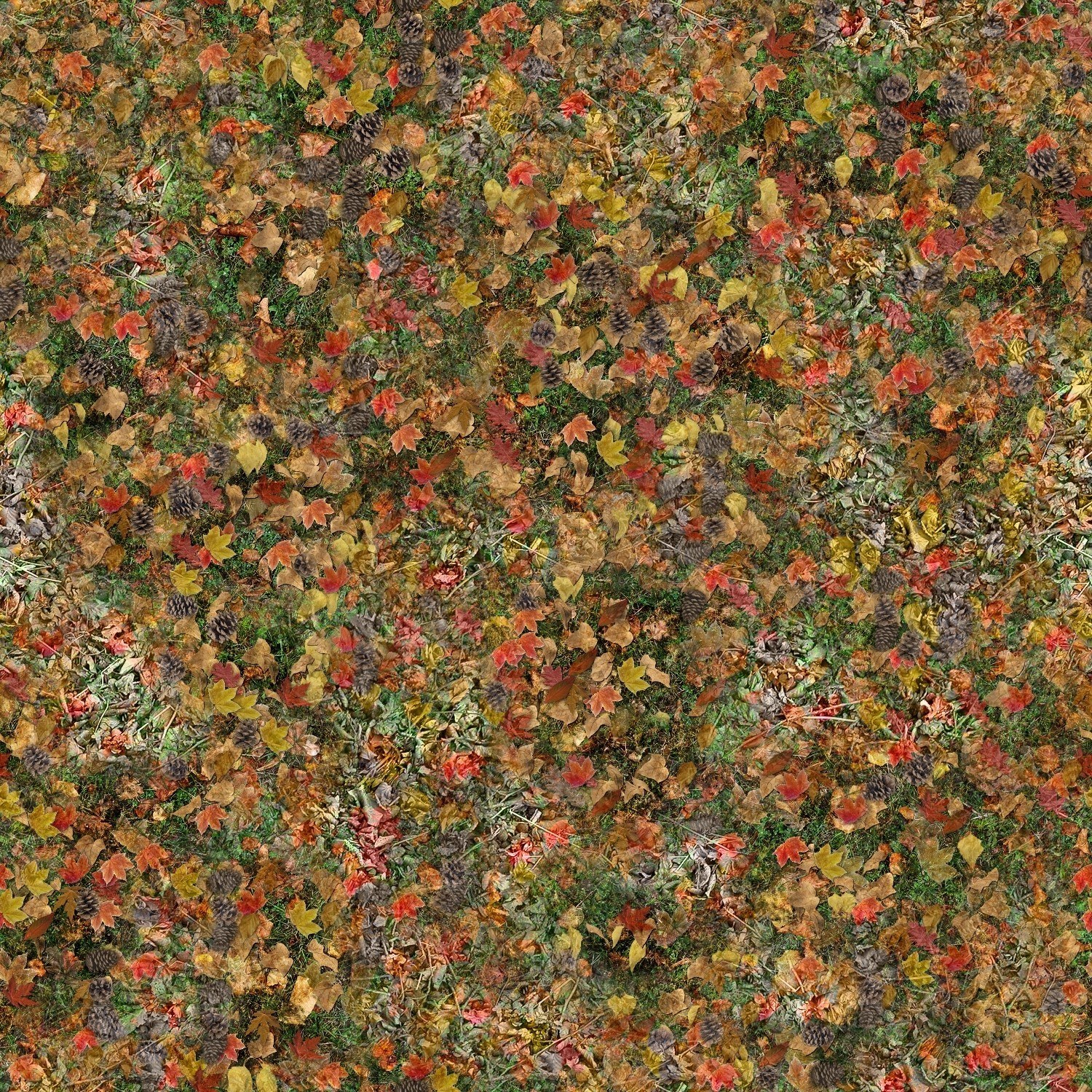 autumn leaves and pinecones