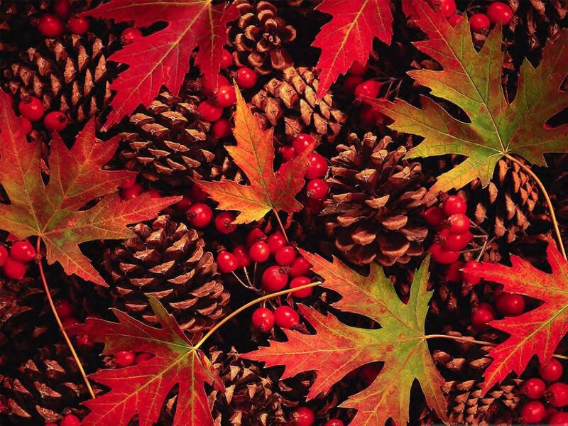 Autumn Leaves and Pinecones — Red, Natural