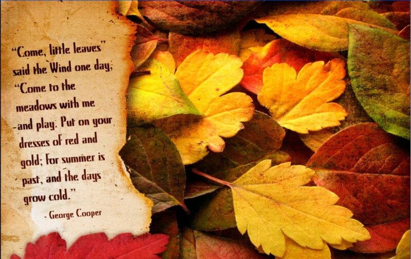 autumn leaves and poem