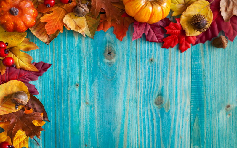 Autumn Leaves and Pumpkins — Blue, Festive, Photograph, Acorns
