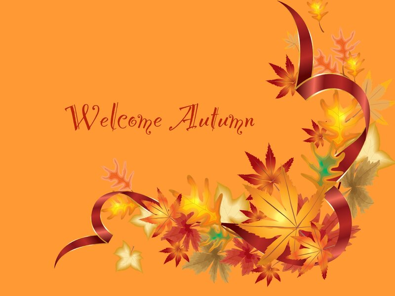Autumn Leaves and Ribbon