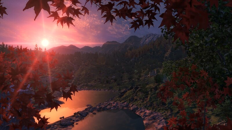 Autumn Leaves and River