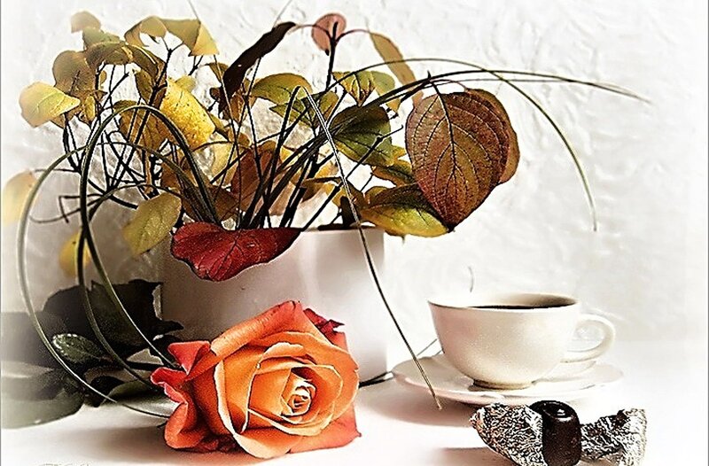 Autumn Leaves and Rose — White