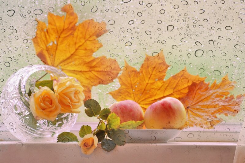 Autumn Leaves and Roses