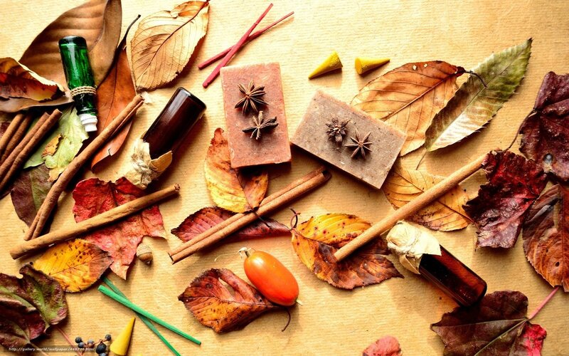 Autumn Leaves and Spices — Brown, Warm