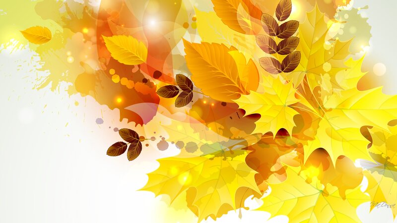 Autumn Leaves and Splashes