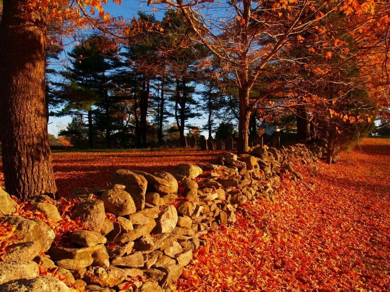 Autumn Leaves and Stone Wall