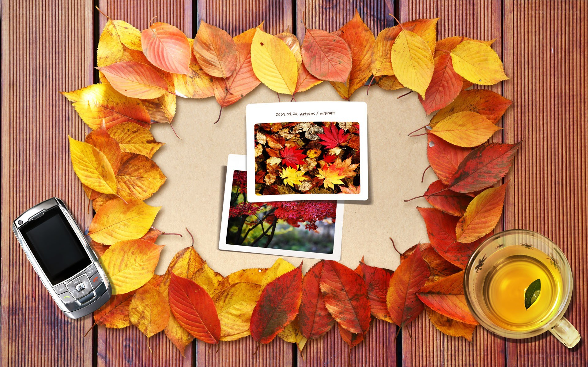 Autumn leaves and tea