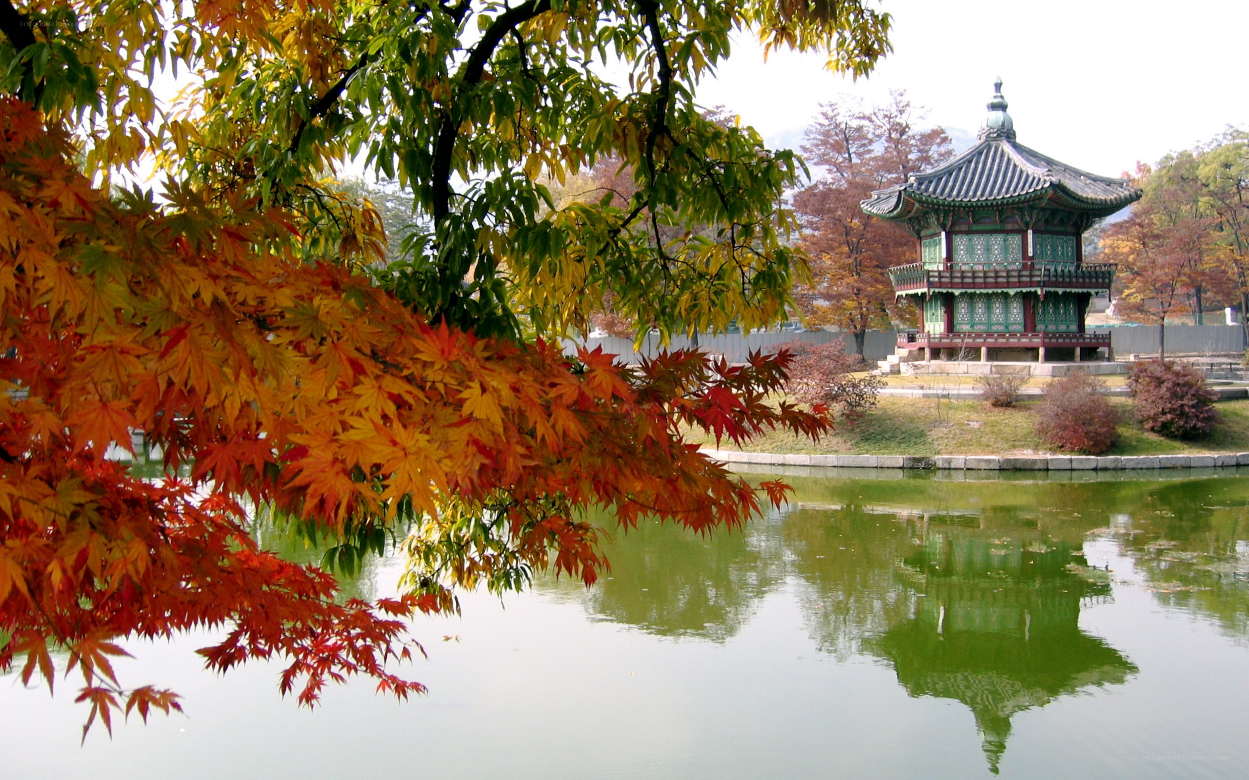 Autumn leaves and temple by pond
