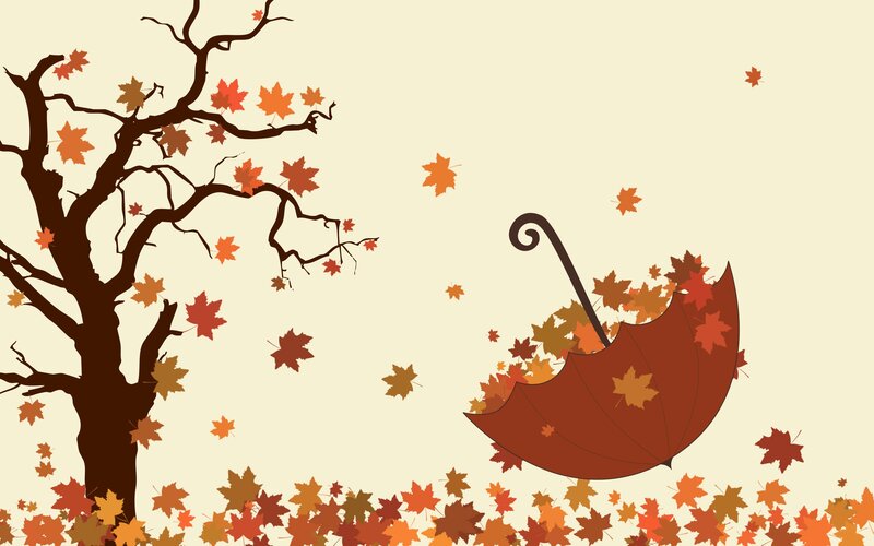 Autumn Leaves and Umbrella