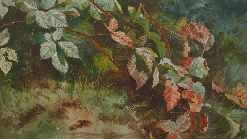 Autumn Leaves and Vines — Green