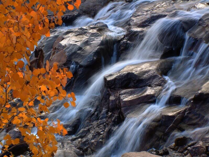 Autumn Leaves and Waterfall — Orange