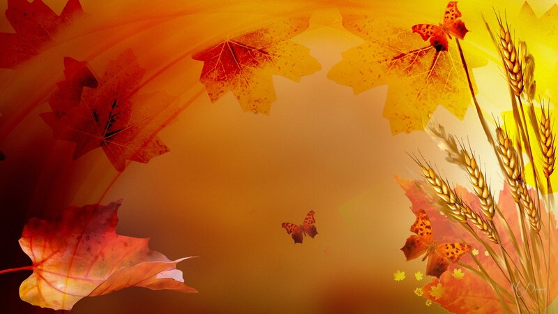 Autumn Leaves and Wheat