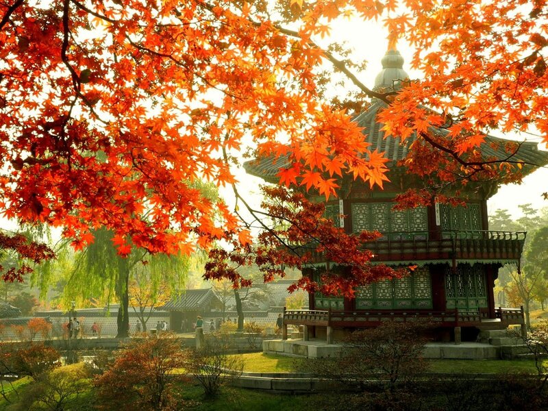 Autumn leaves at a Korean pavilion