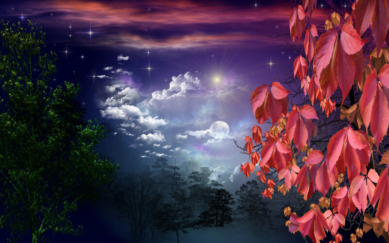Autumn Leaves at Night — Purple