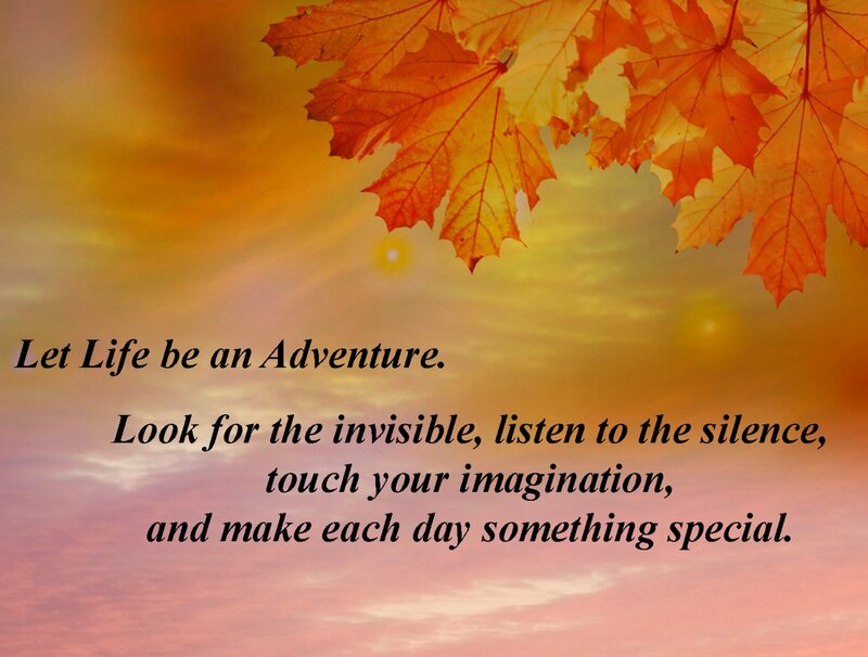 Autumn Leaves at Sunset — Orange, Serene