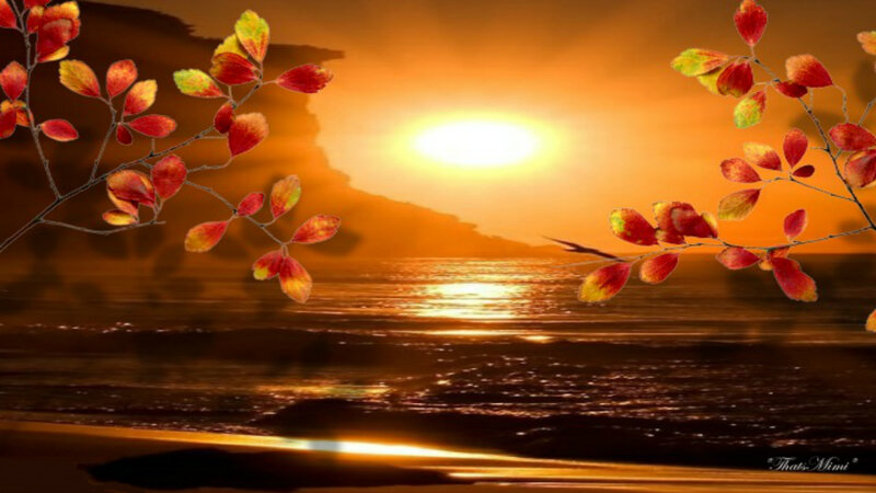 Autumn Leaves at Sunset — Orange