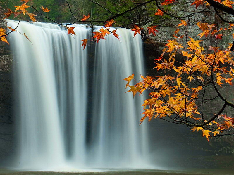 Autumn Leaves at Waterfall