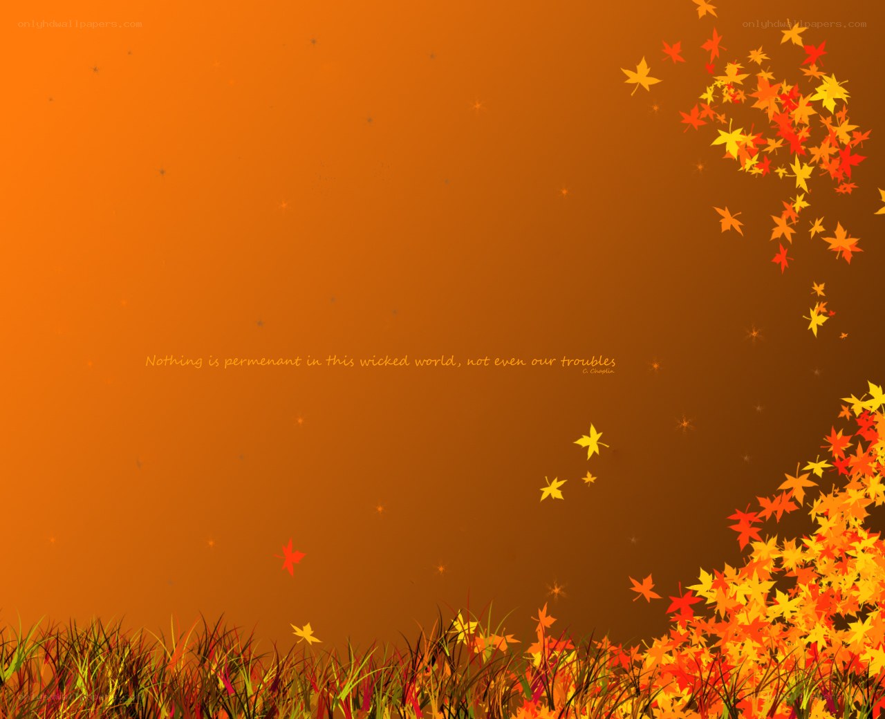 autumn leaves background